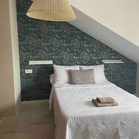La Casa De Papel,atico Duplex , Proximo Vega Y Centro Ciudad Oviedo